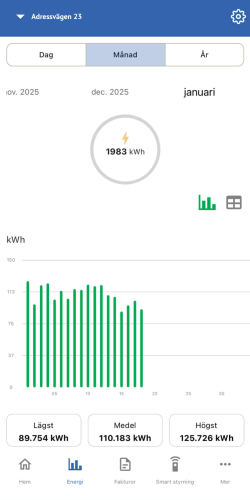 Energi: välj Dag/Månad/År och följ din historik i kWh.