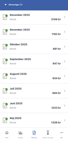 Fakturor: lista över fakturor och belopp för varje period.